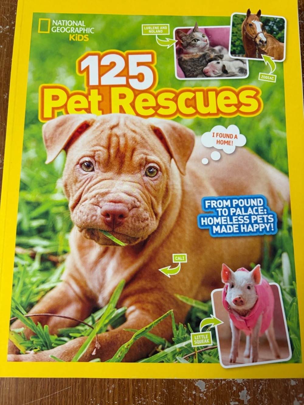 National Geographic and 3d animal books. 11 books - Picture 3 of 12